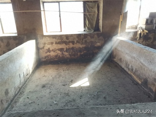 3分钟读懂猪舍的科学建造，了解猪舍建造原理