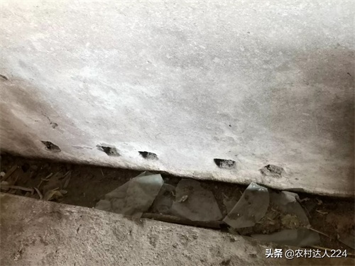 3分钟读懂猪舍的科学建造，了解猪舍建造原理