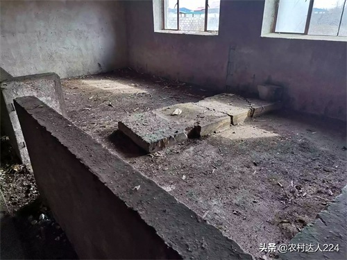 3分钟读懂猪舍的科学建造，了解猪舍建造原理