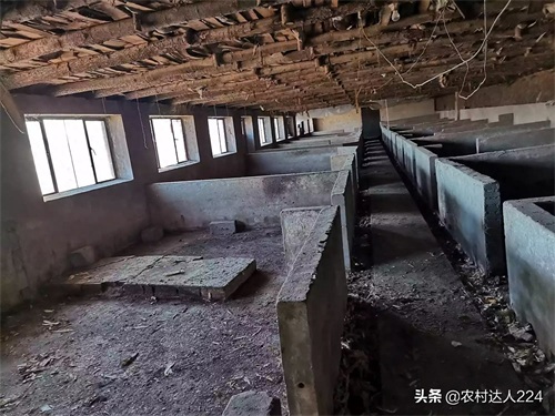 3分钟读懂猪舍的科学建造，了解猪舍建造原理