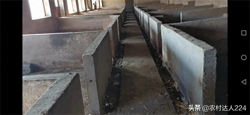 3分钟读懂猪舍的科学建造，了解猪舍建造原理