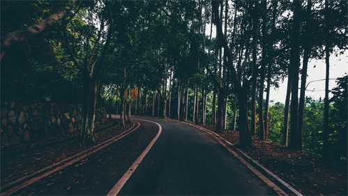 厦门天竺山森林公园