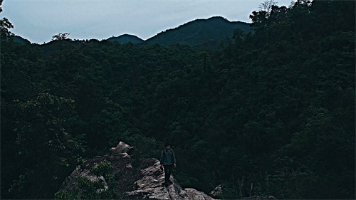 厦门天竺山森林公园