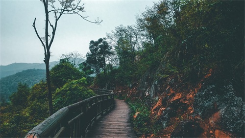 厦门天竺山森林公园