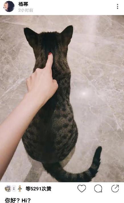 杨幂和魏大勋又一次同框（杨幂和魏大勋这兜兜转转13年的时间线）(27)