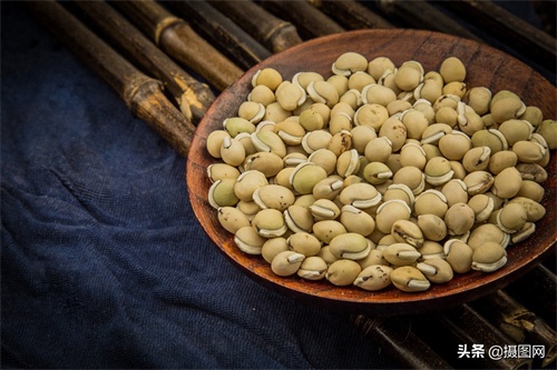 中药材图集|常见的中药材到底长啥样?最后一种多数人没听过