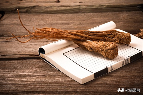 中药材图集|常见的中药材到底长啥样?最后一种多数人没听过