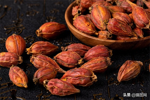 中药材图集|常见的中药材到底长啥样?最后一种多数人没听过