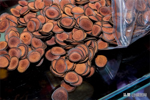 中药材图集|常见的中药材到底长啥样?最后一种多数人没听过