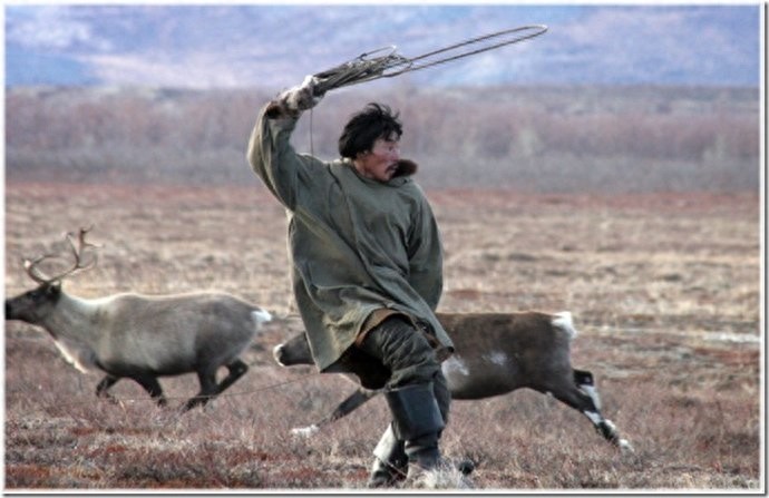 实拍：楚科奇半岛人的原始生活，仍然茹毛饮血