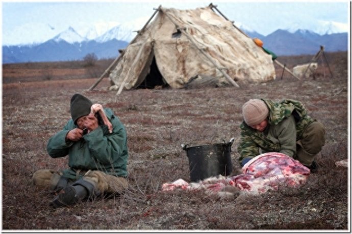 实拍：楚科奇半岛人的原始生活，仍然茹毛饮血