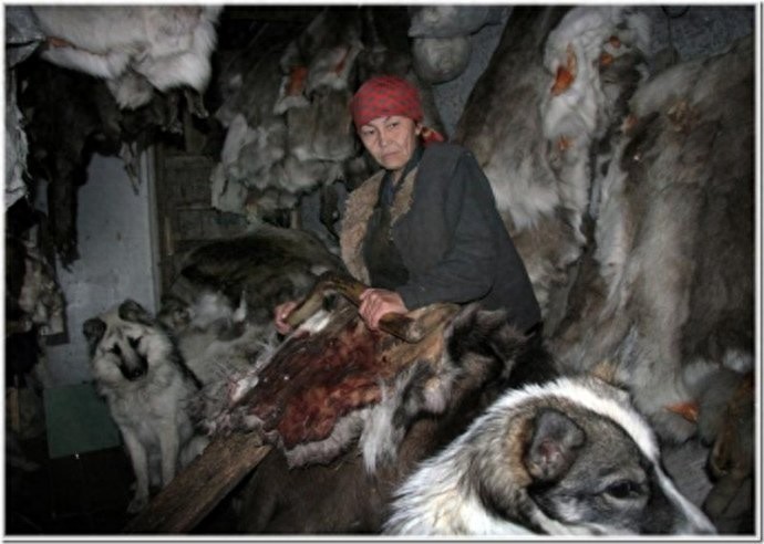 实拍：楚科奇半岛人的原始生活，仍然茹毛饮血