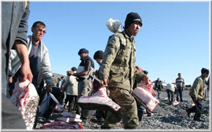 实拍：楚科奇半岛人的原始生活，仍然茹毛饮血