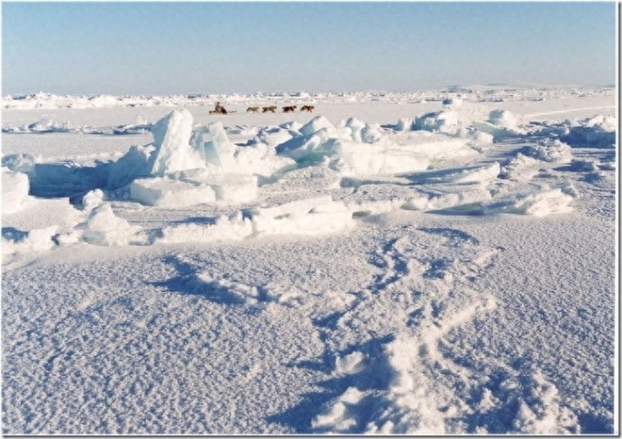 实拍：楚科奇半岛人的原始生活，仍然茹毛饮血