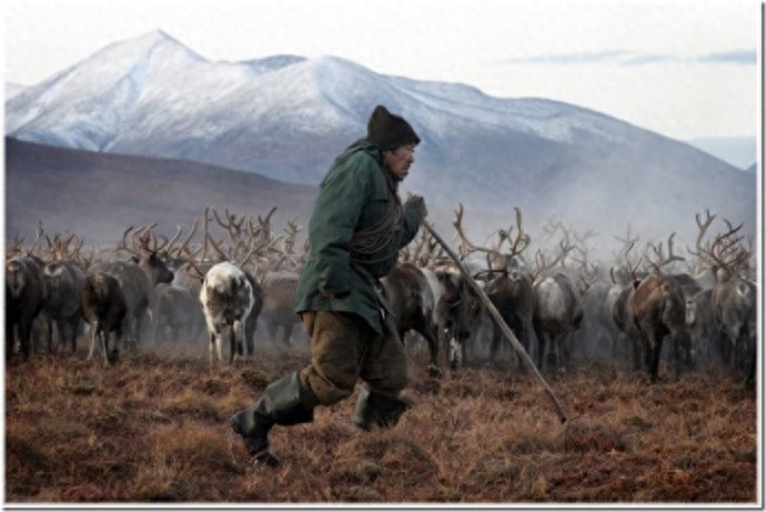 实拍：楚科奇半岛人的原始生活，仍然茹毛饮血