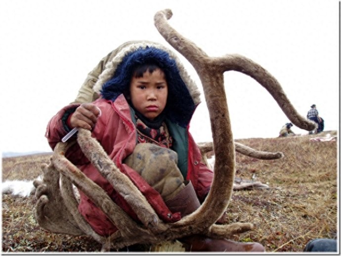 实拍：楚科奇半岛人的原始生活，仍然茹毛饮血