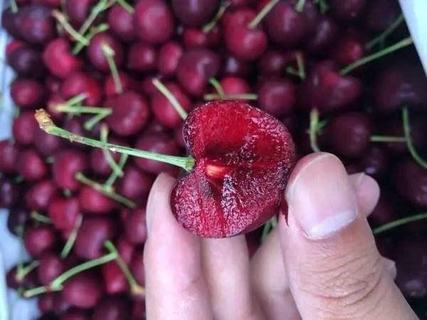 吃了这么多年，才知道原来樱桃和车厘子的区别很大，别再买错了