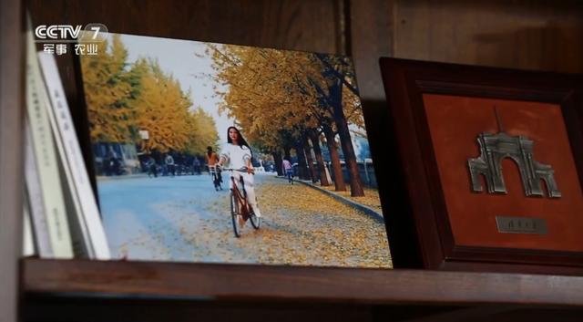 致敬陈薇的颁奖词（陈薇哭了头发白了）(6)