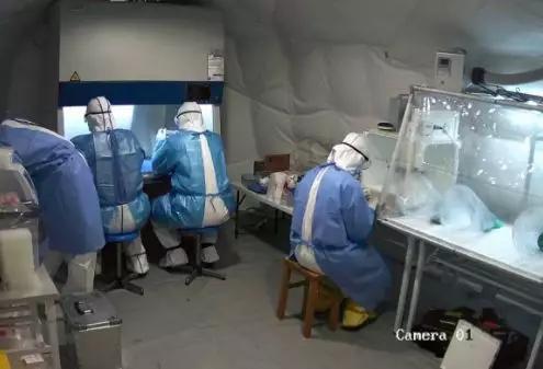 致敬陈薇的颁奖词（陈薇哭了头发白了）(21)