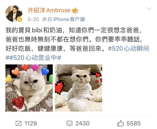 许绍洋和前女友（还记得海豚湾恋人的许绍洋吗）(52)