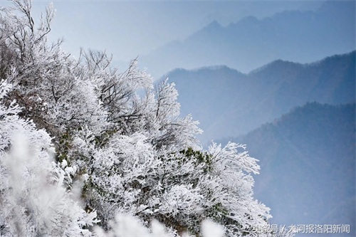 河南洛阳老君山：海拔2217米山顶的雪后美景，你一定没见过！