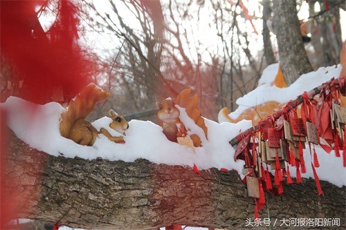 河南洛阳老君山：海拔2217米山顶的雪后美景，你一定没见过！