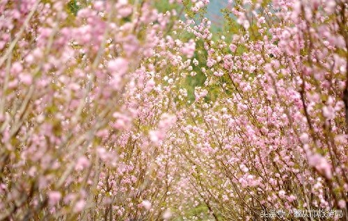 美丽校园巡礼：广东工商学院