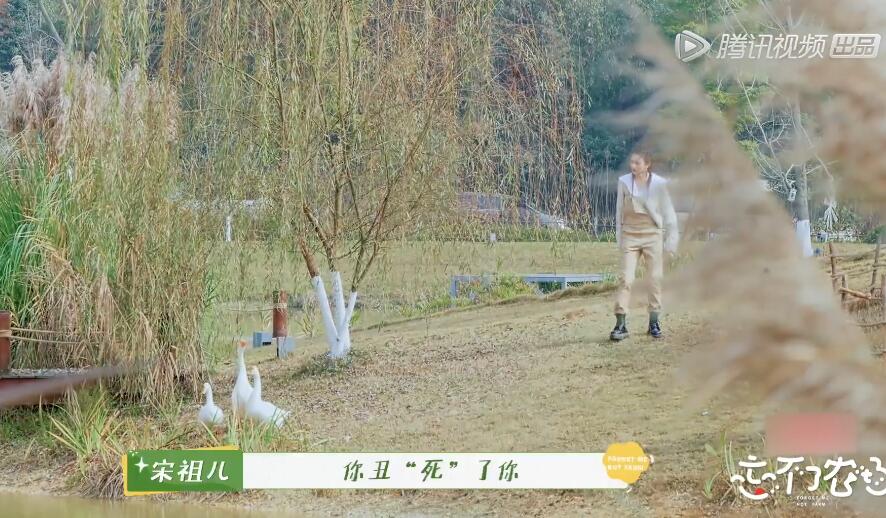 “京圈小花”宋祖儿：出道前与富二代相恋，爆红后与舒畅形同陌路