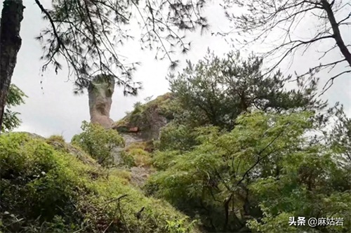 温岭石夫人——有位佳人，在山之巅