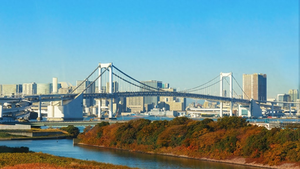 日本首都东京，美丽的岛国，国际著名大都市