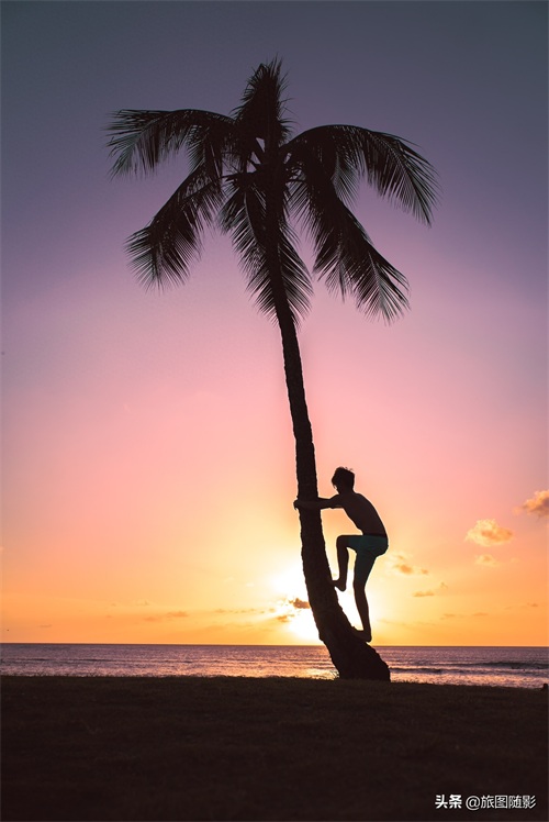 「最美夕阳剪影」沉醉在落日余晖下，23张摄影图告诉您有多美